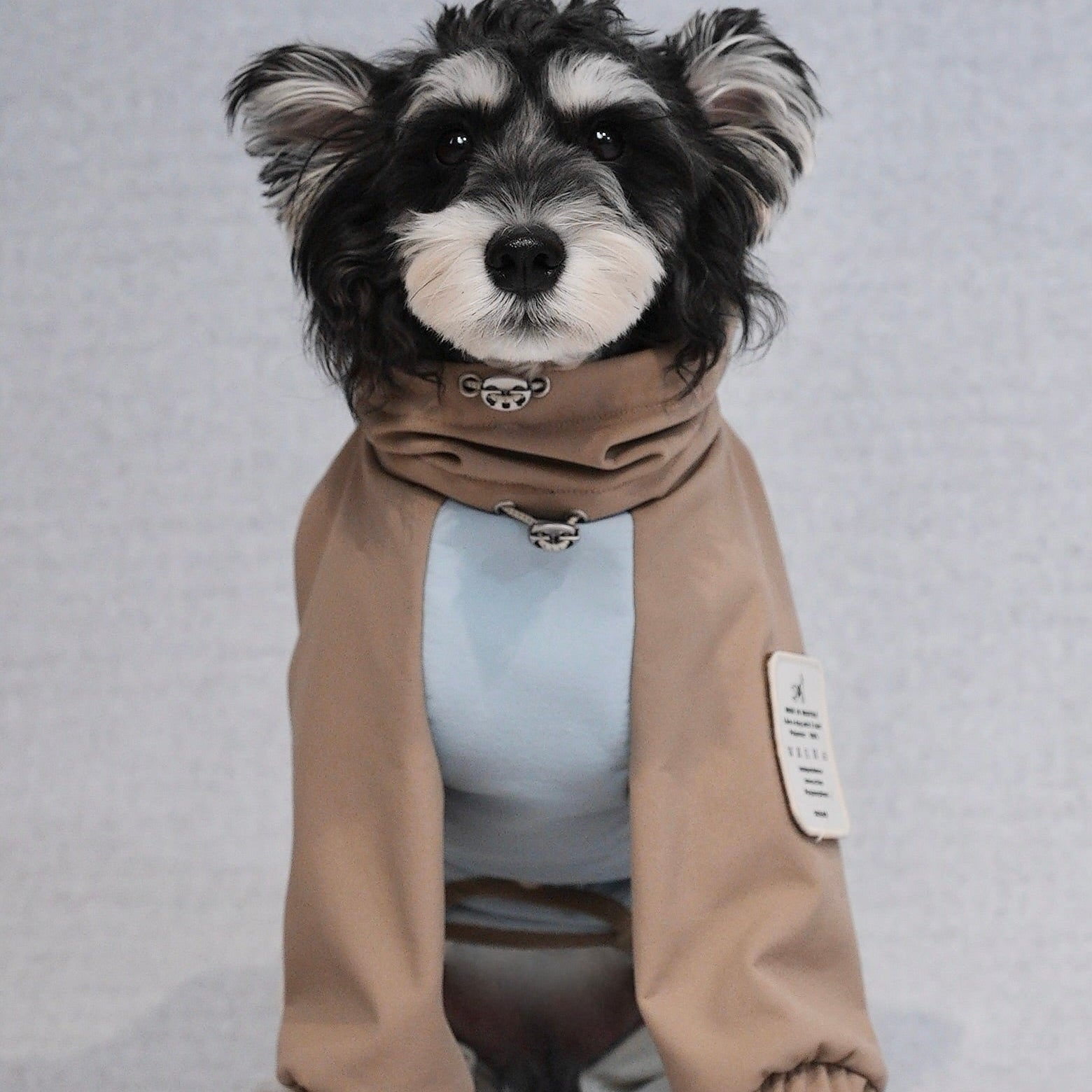 Waterproof Dog Snowsuit