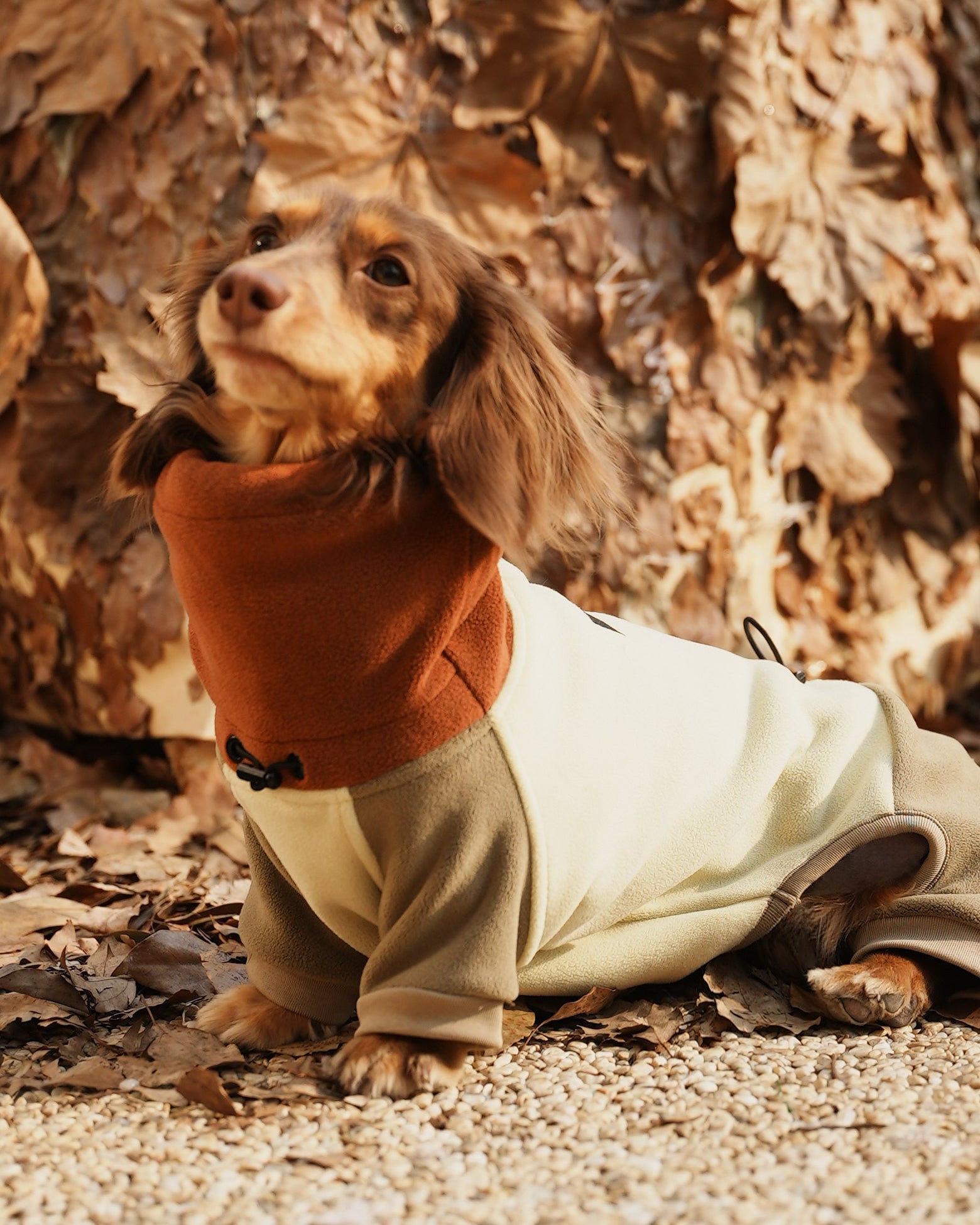 Double-Fleece Dachshund Onesie