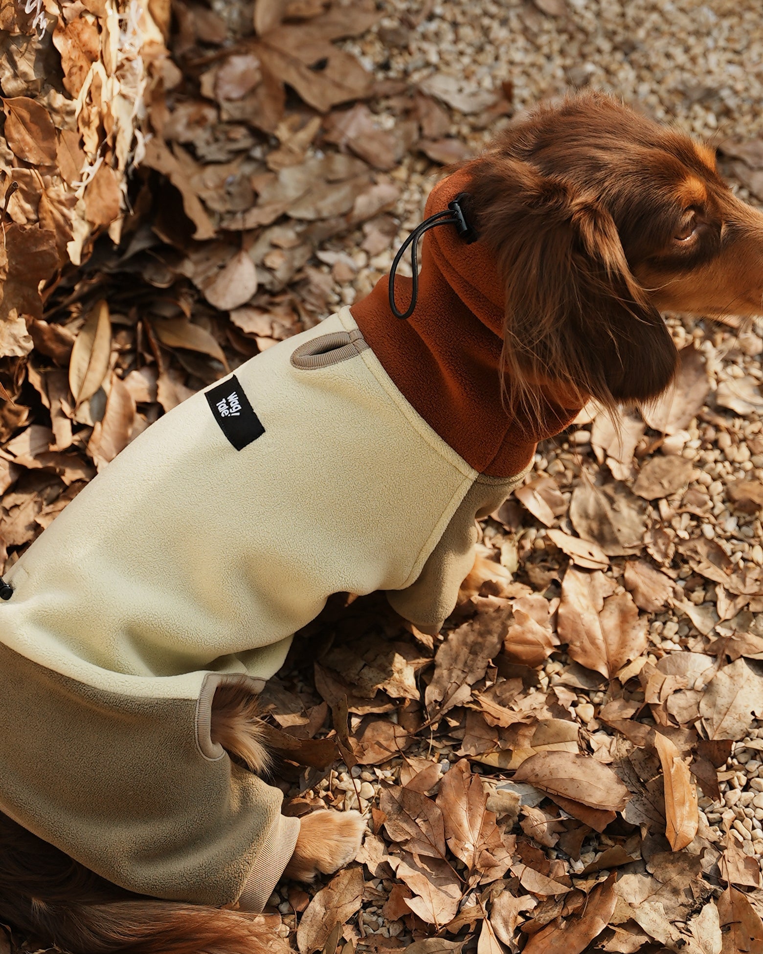 Double-Fleece Dachshund Onesie