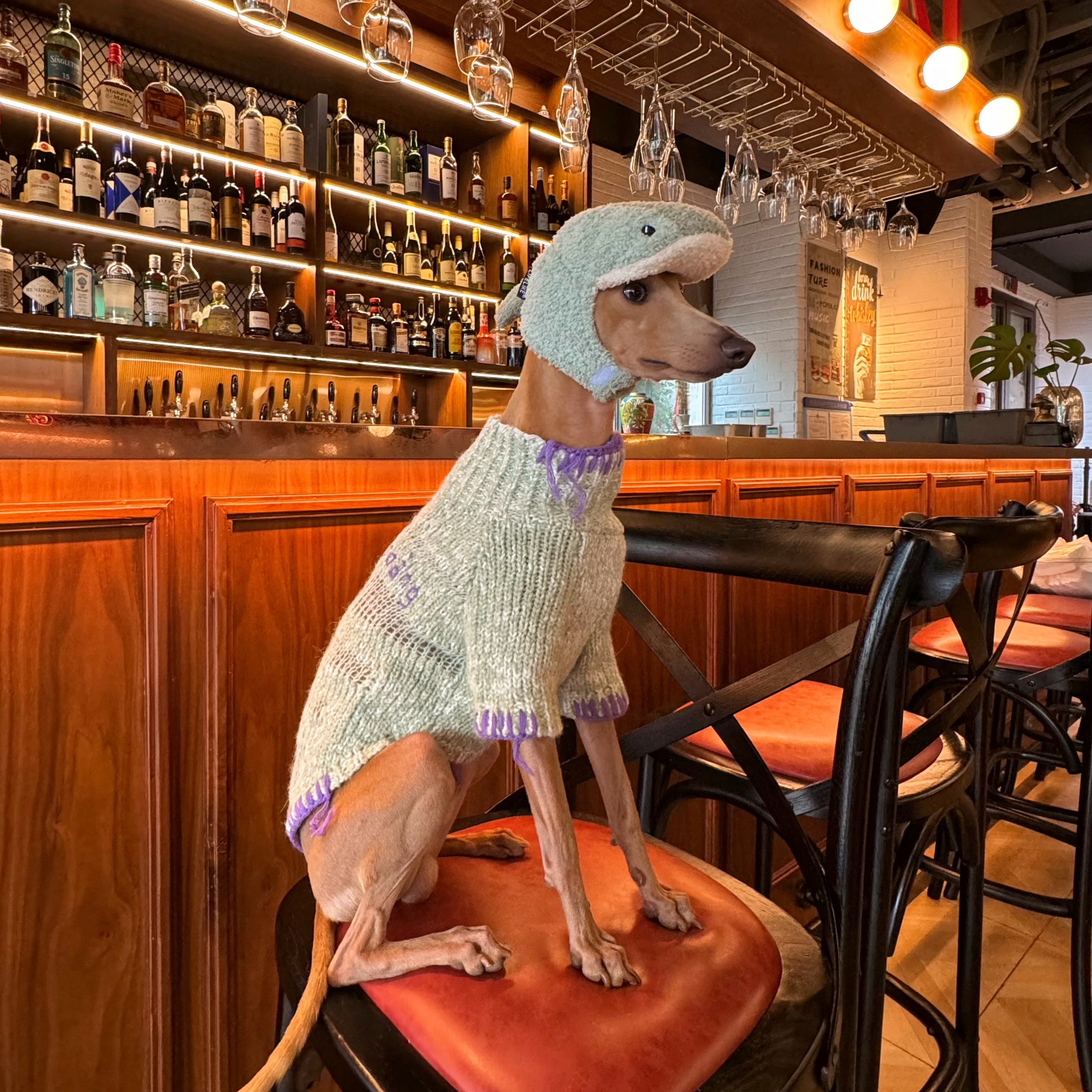 Alpaca Wool Pet Sweater