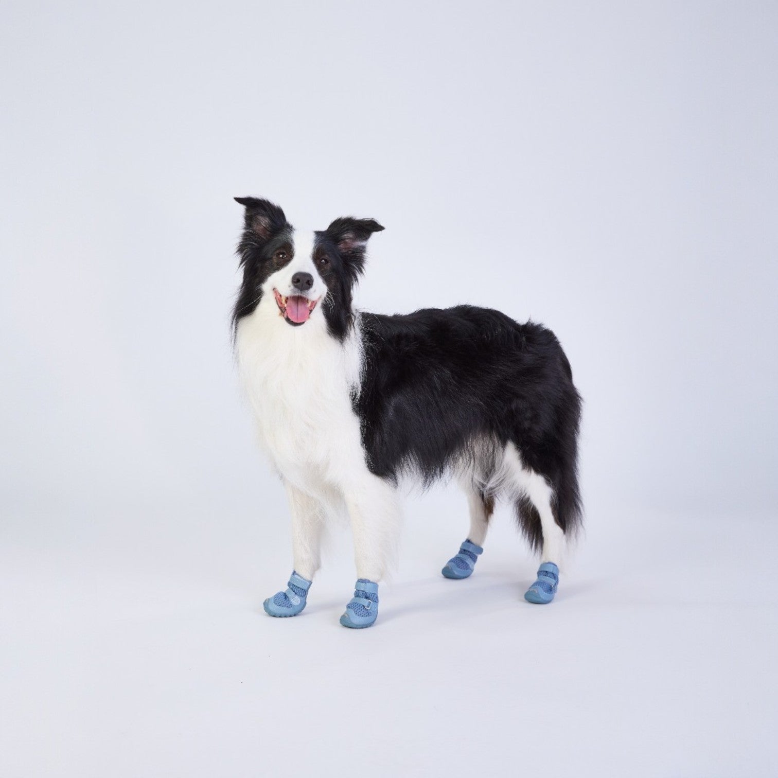 FOKWOW All-Season Dog Boots (2 Boots)