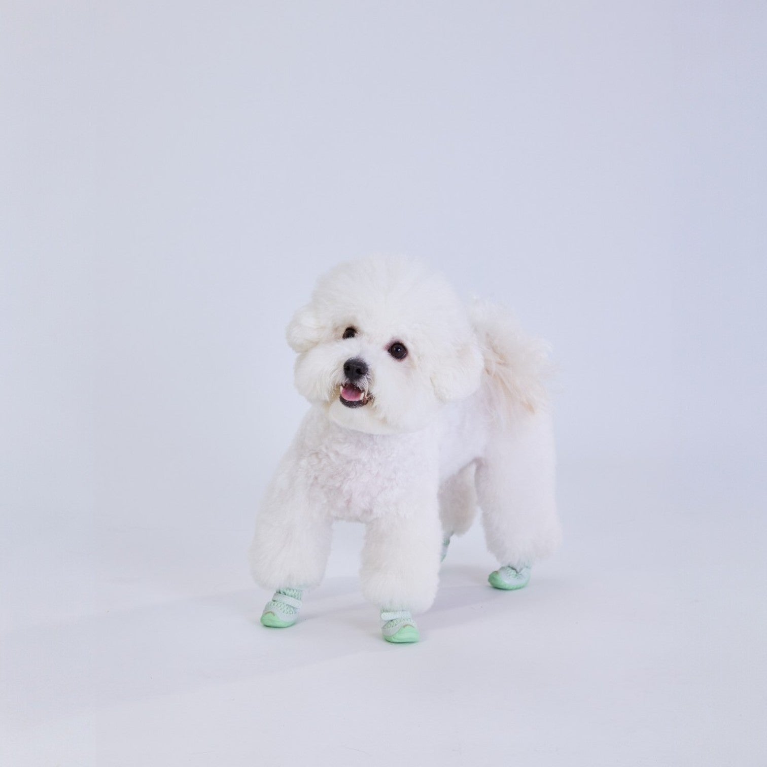FOKWOW All-Season Dog Boots (2 Boots)