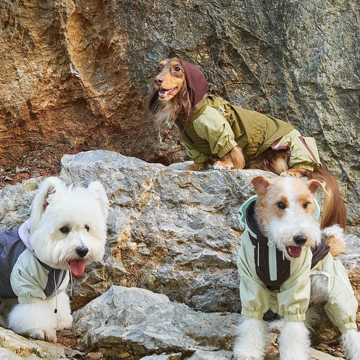 Detachable Dachshund Waterproof Dog Jumpsuit