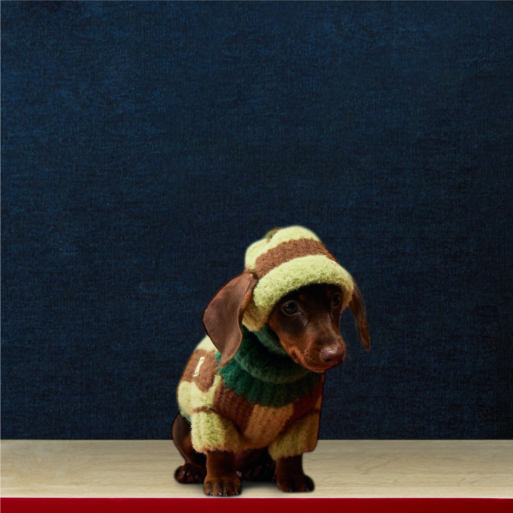 Handmade Colorblock Wool Pet Sweater