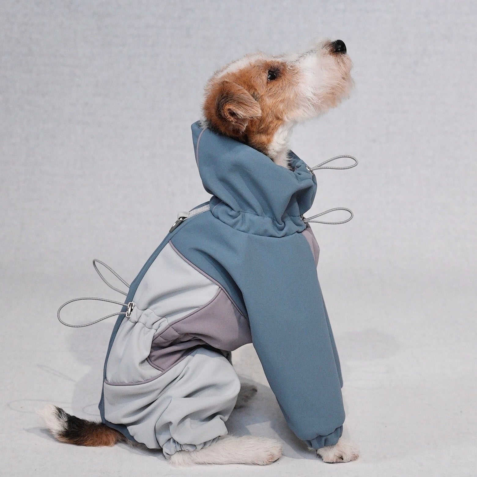 Waterproof Dog Snowsuit