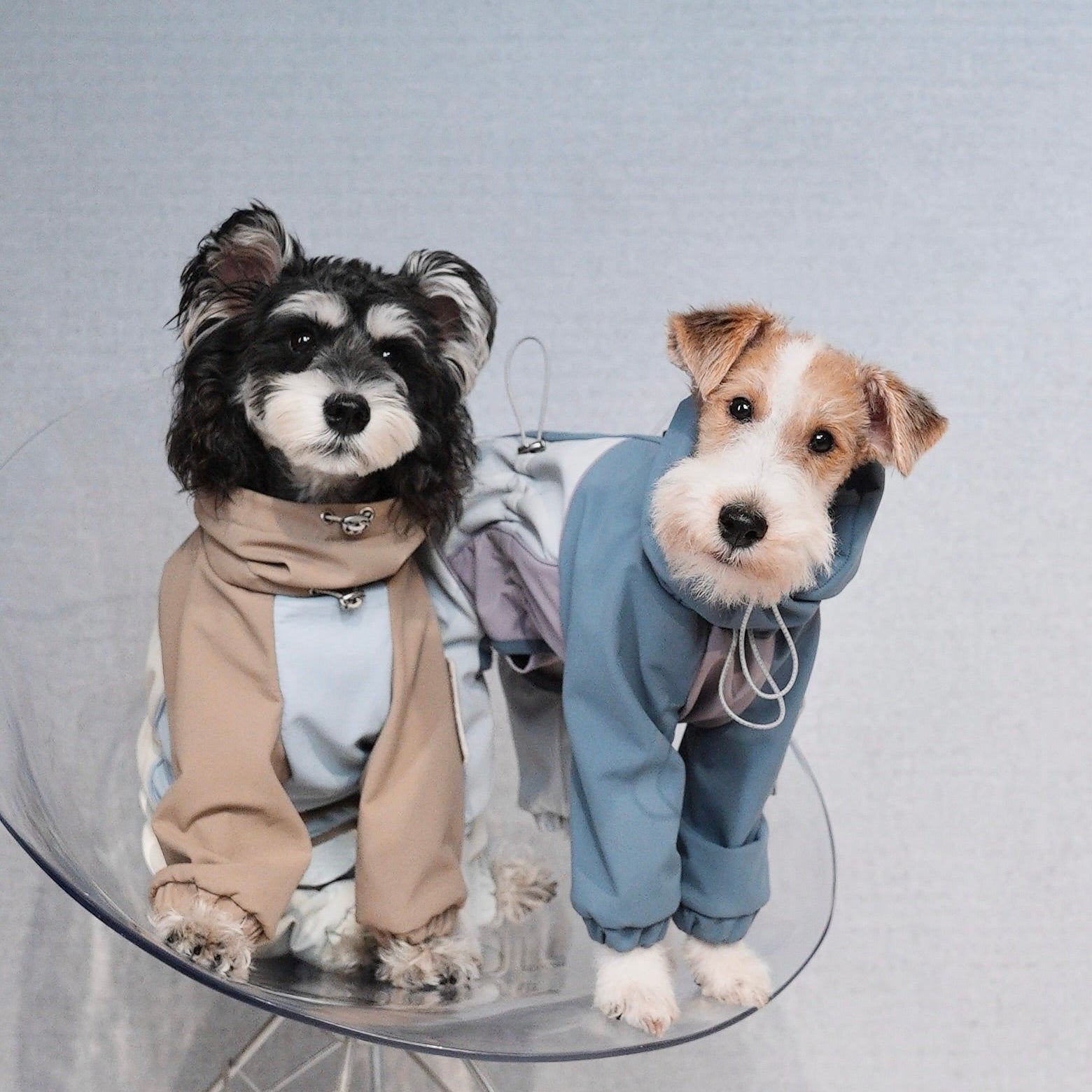 Waterproof Dog Snowsuit