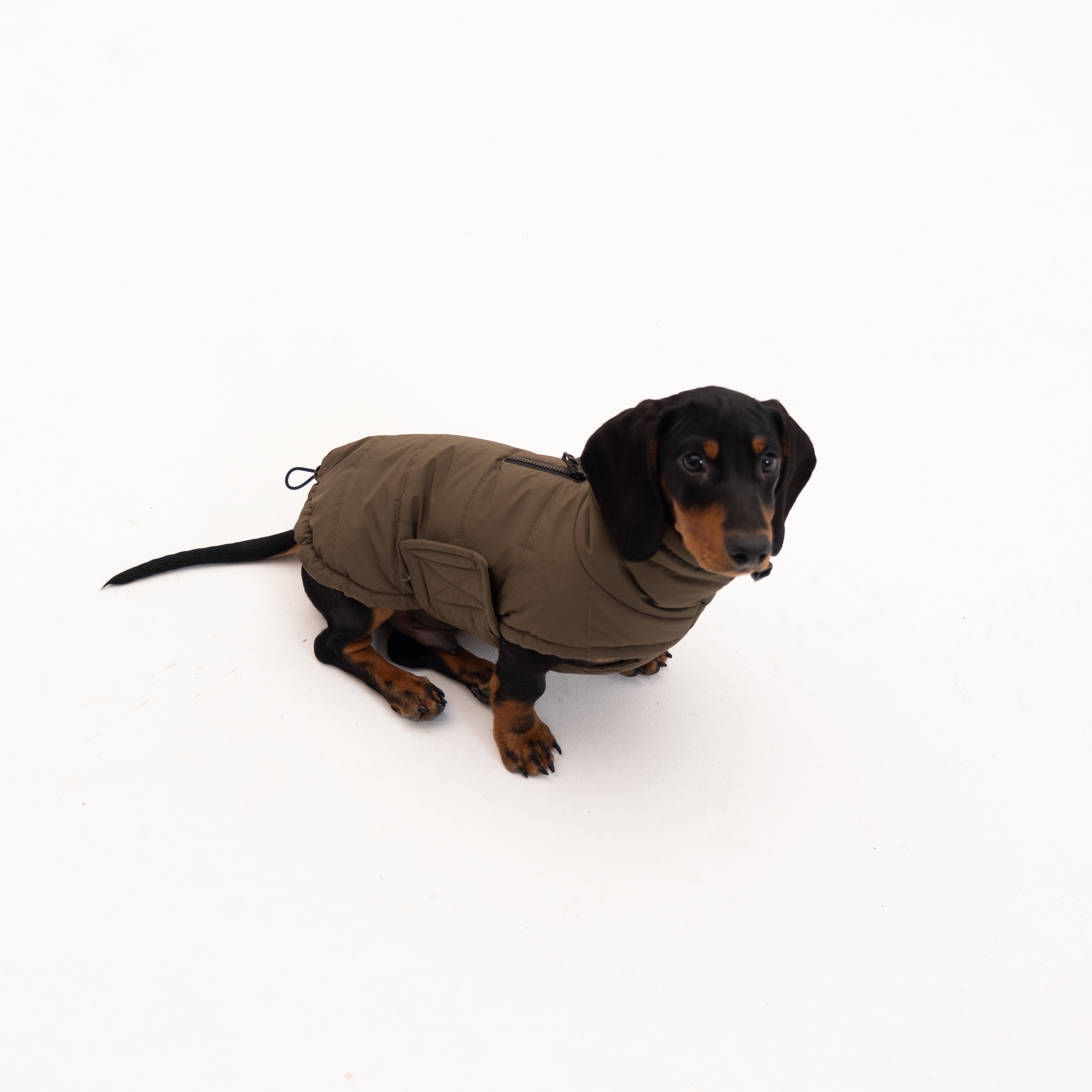 Insulated Dog Outdoor Vest