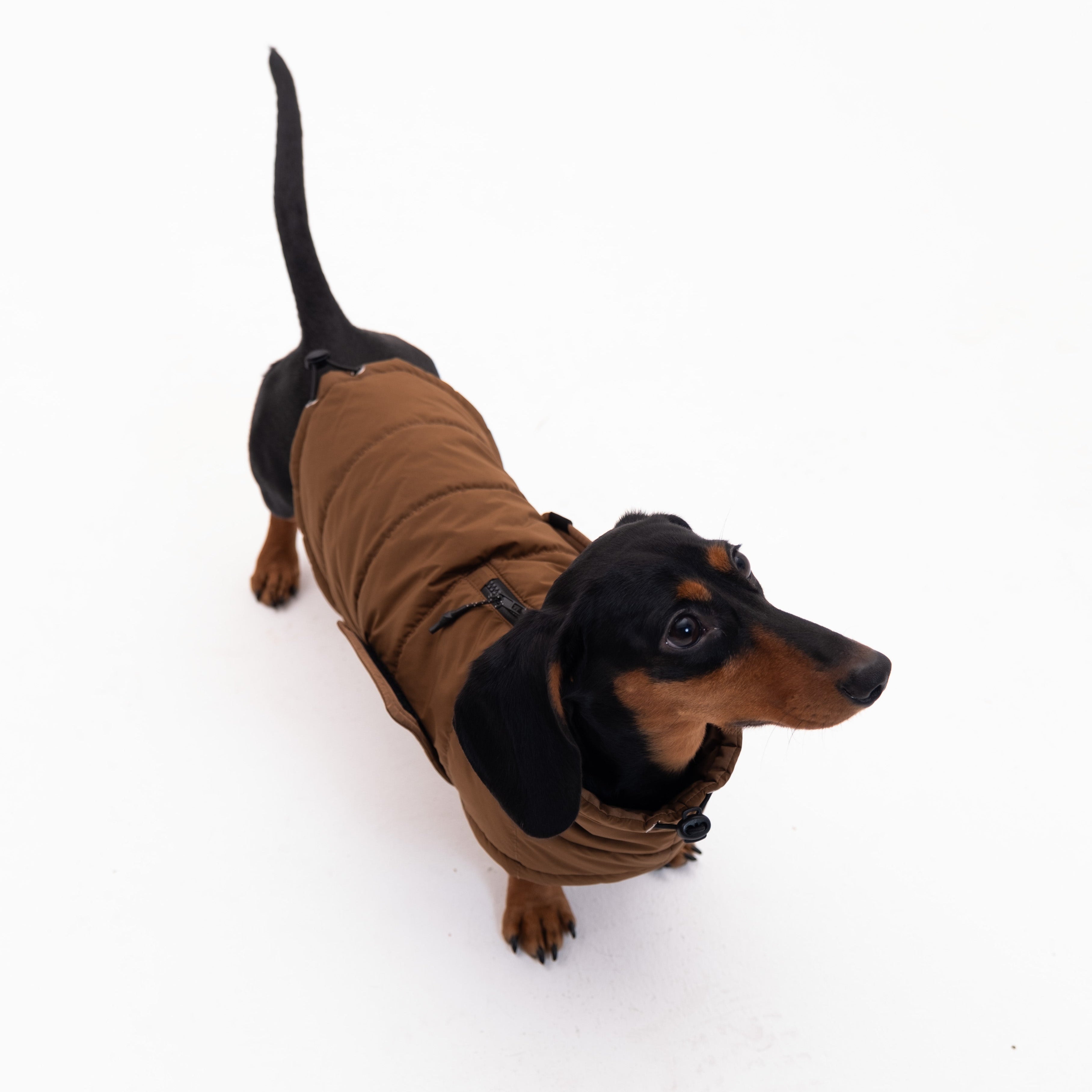 Insulated Dog Outdoor Vest