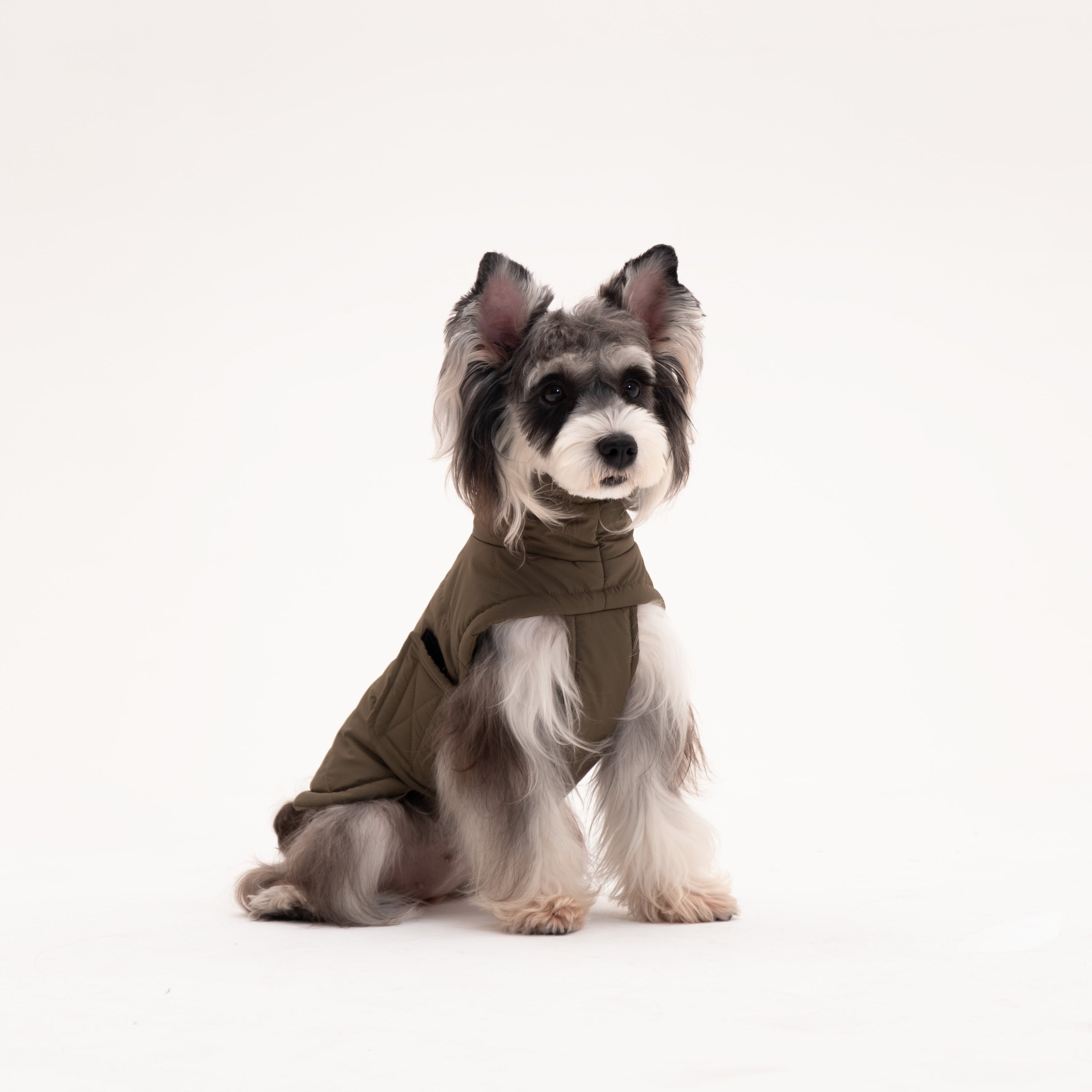 Insulated Dog Outdoor Vest