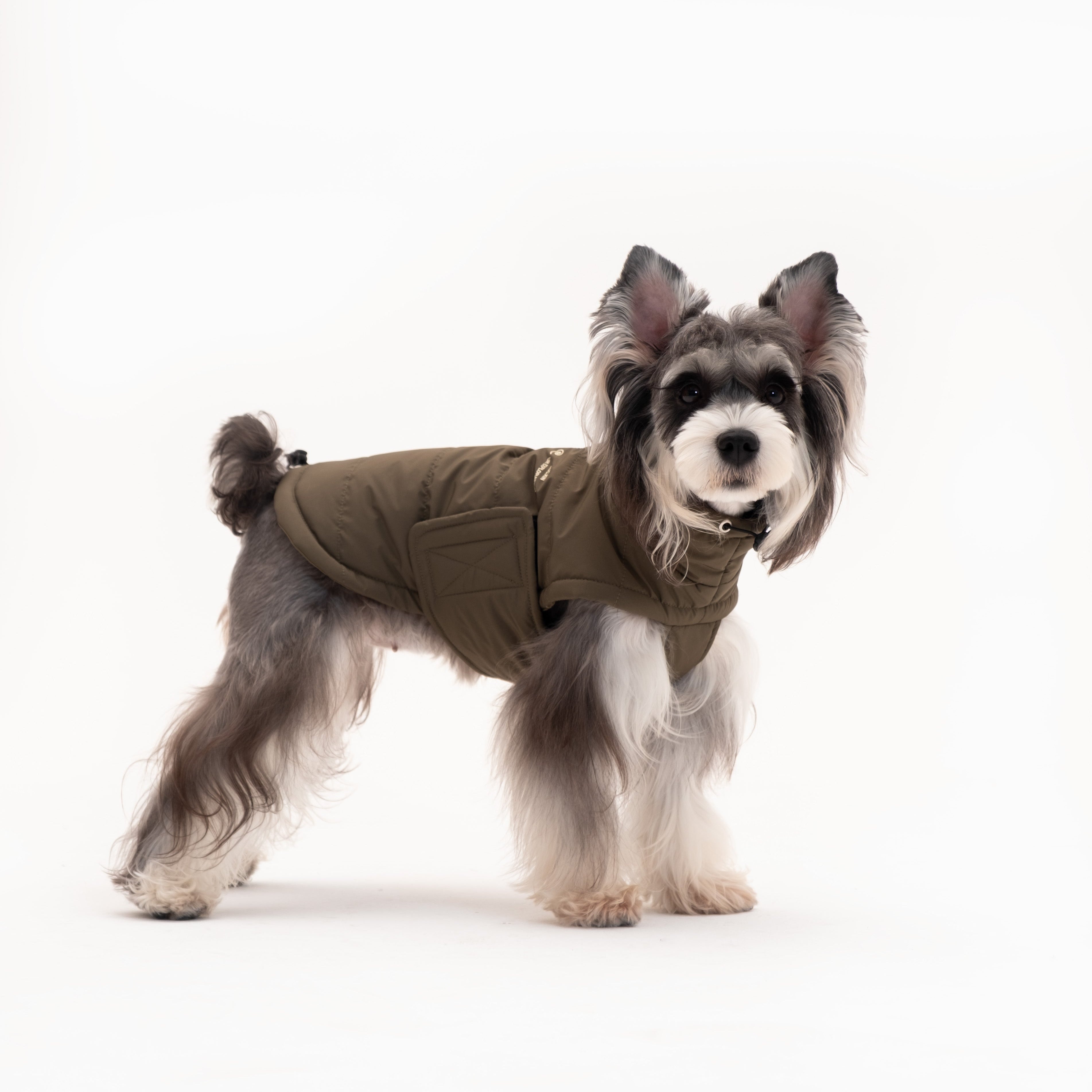 Insulated Dog Outdoor Vest