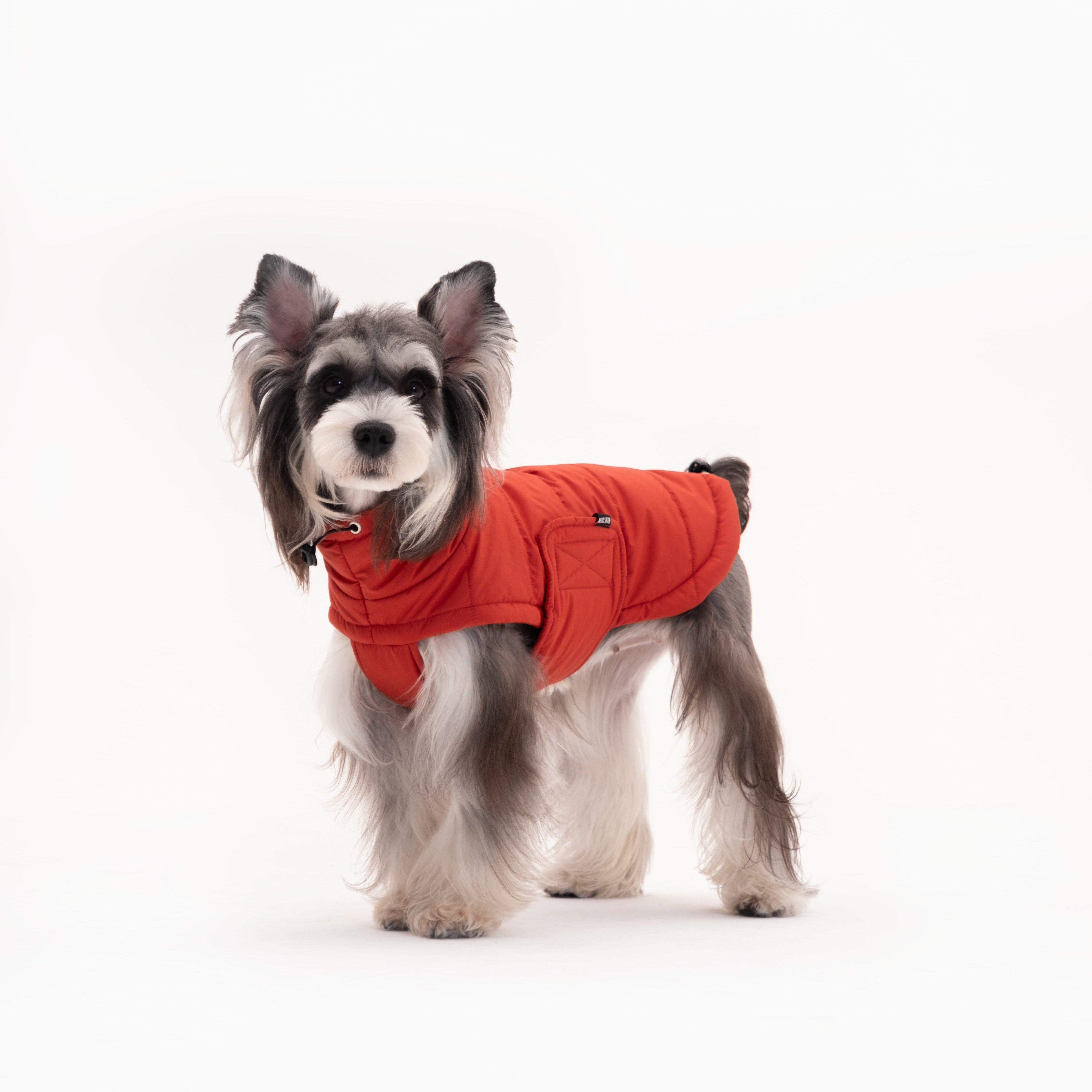 Insulated Dog Outdoor Vest
