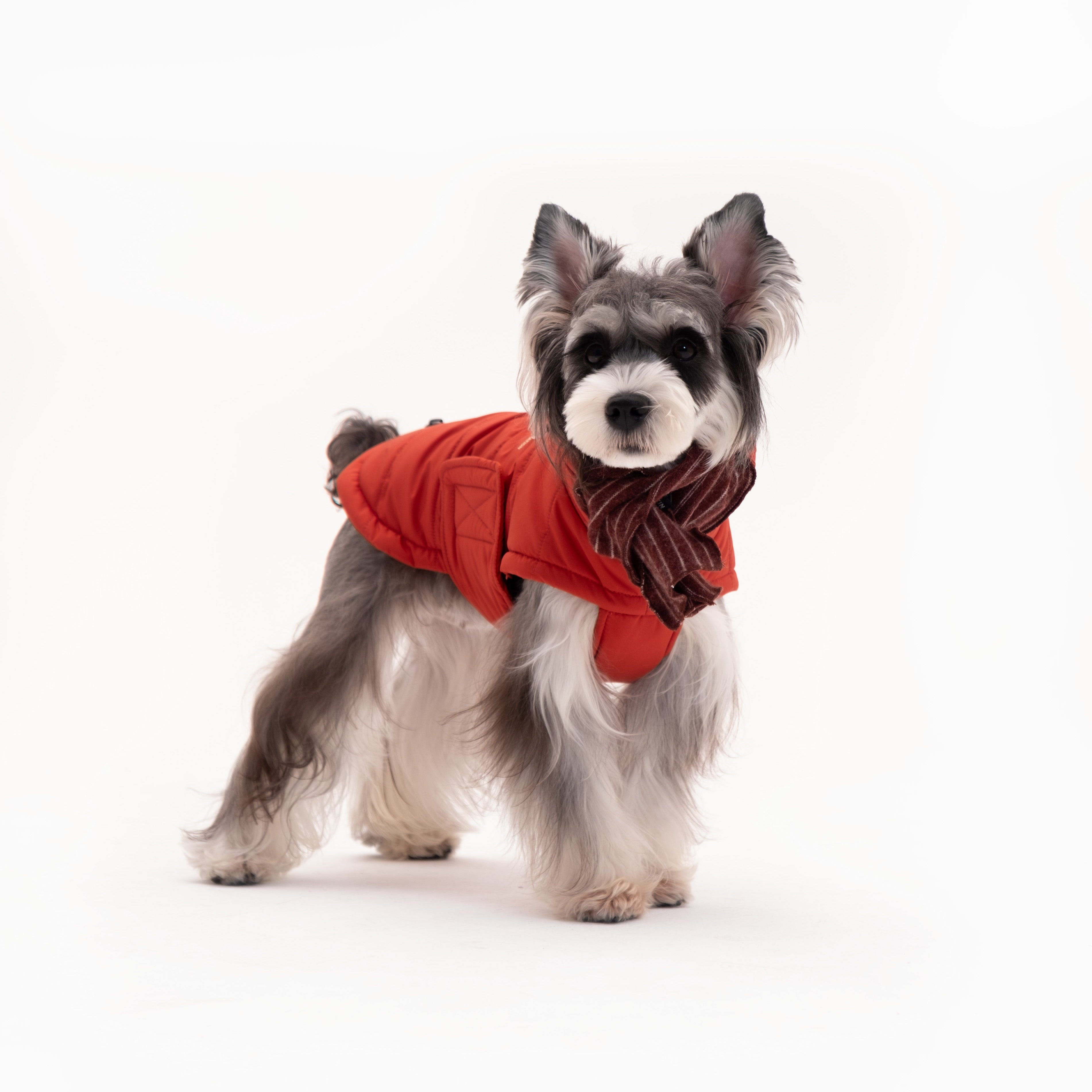 Insulated Dog Outdoor Vest