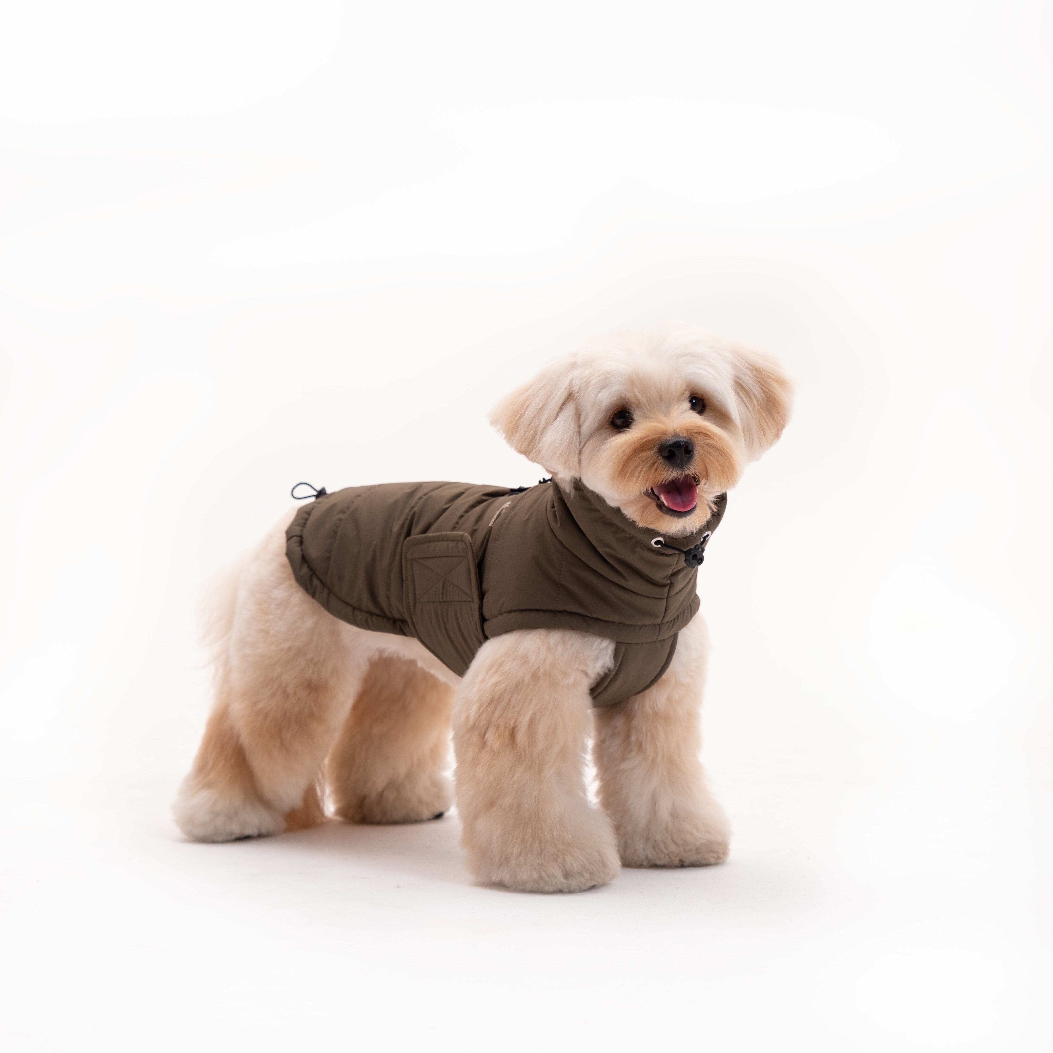 Insulated Dog Outdoor Vest