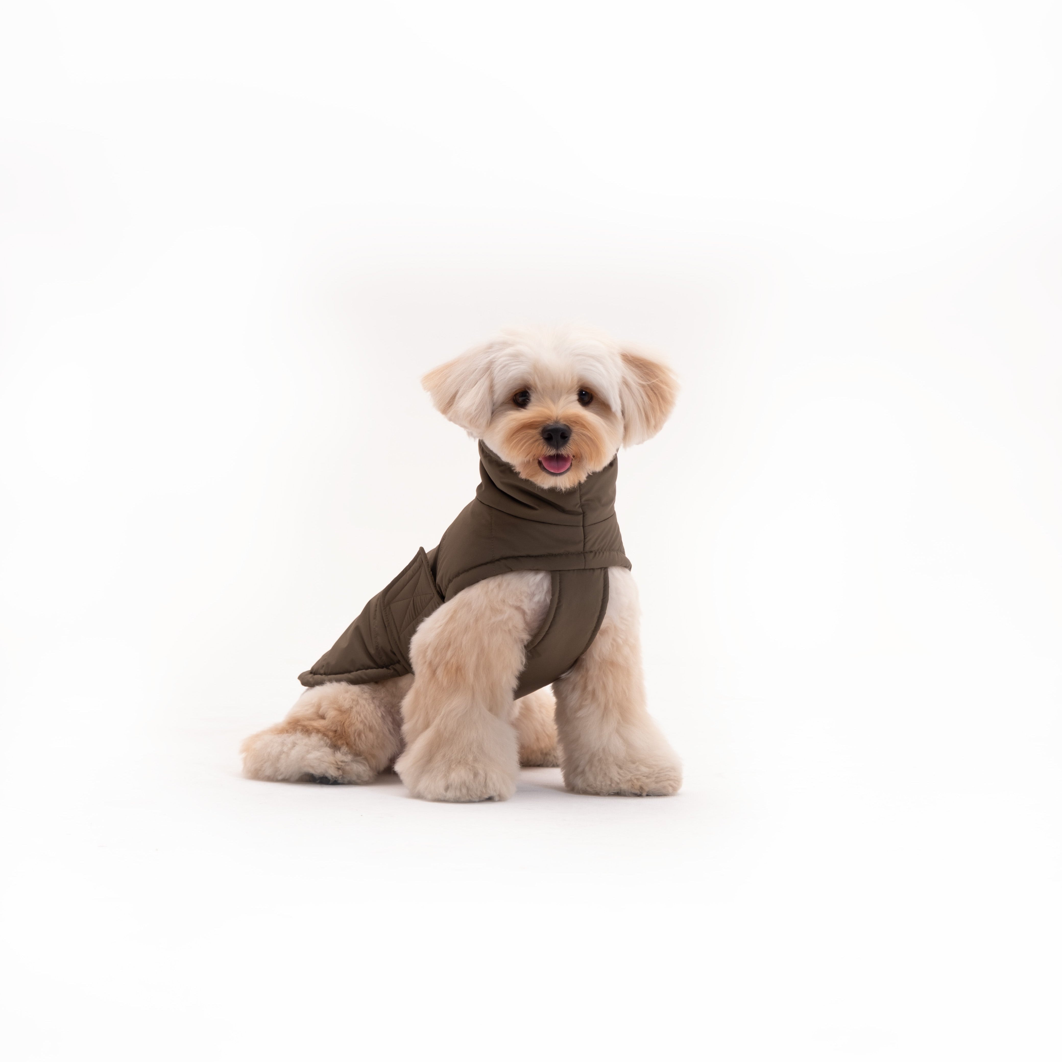 Insulated Dog Outdoor Vest