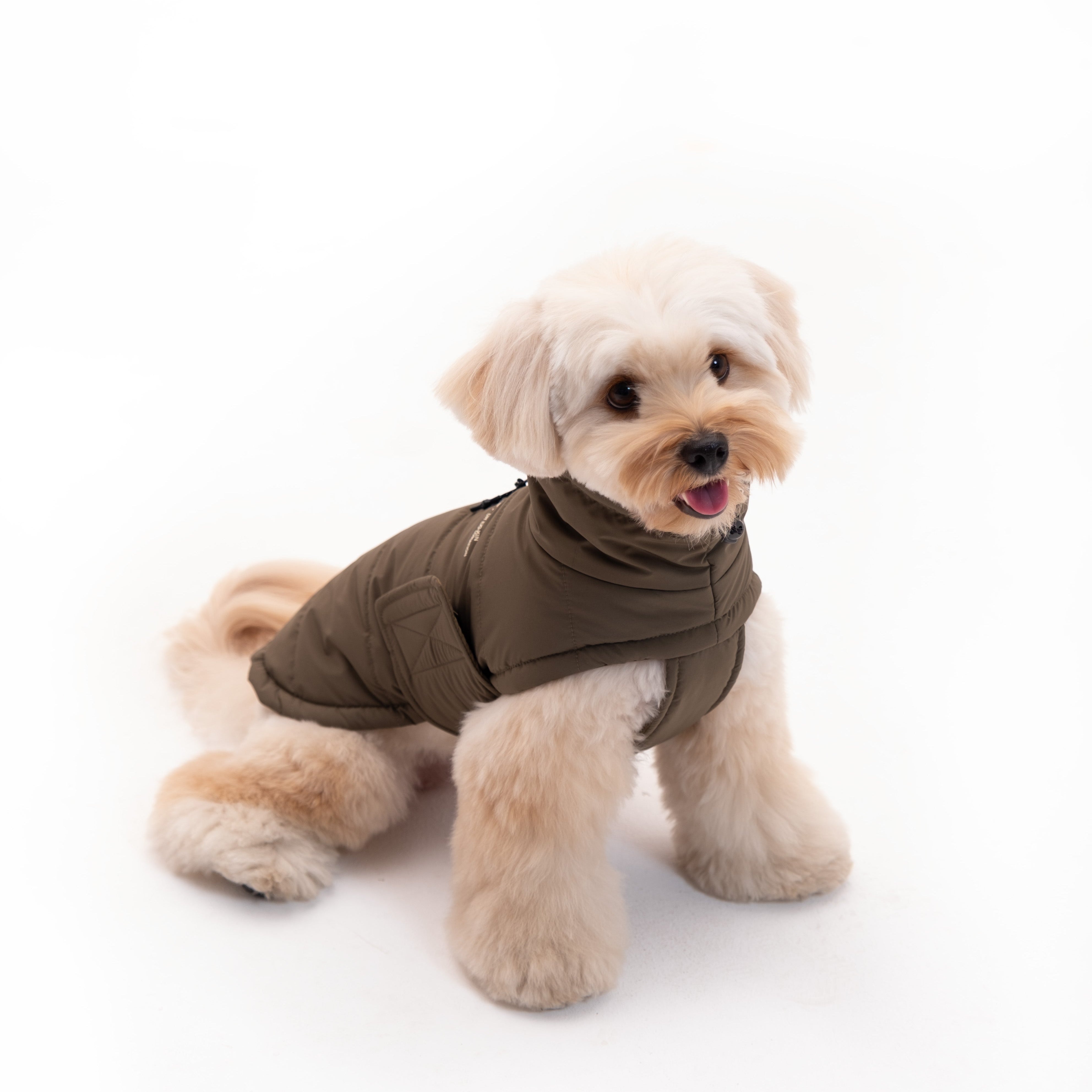 Insulated Dog Outdoor Vest