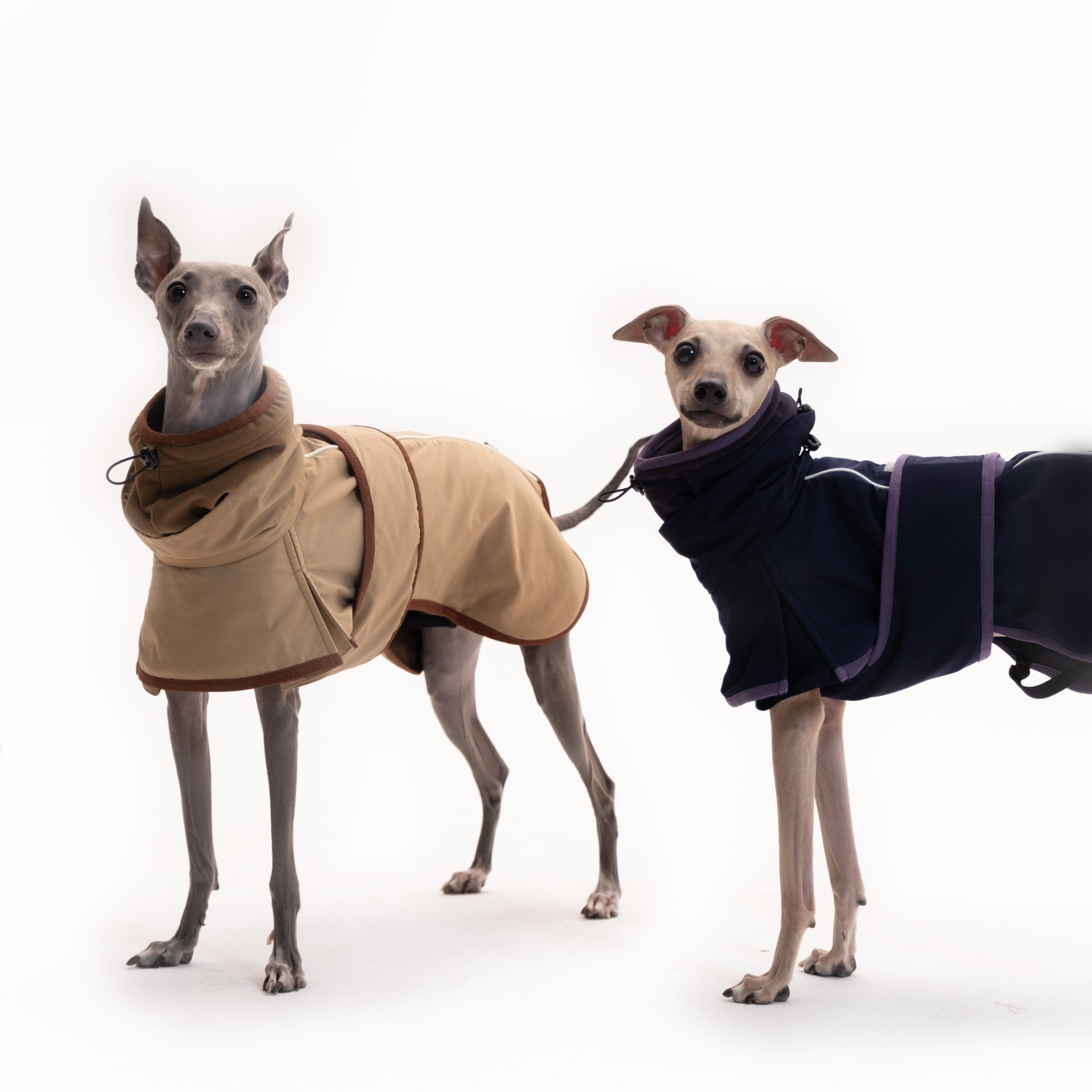 Waterproof Fleece-Lined Dog Coat