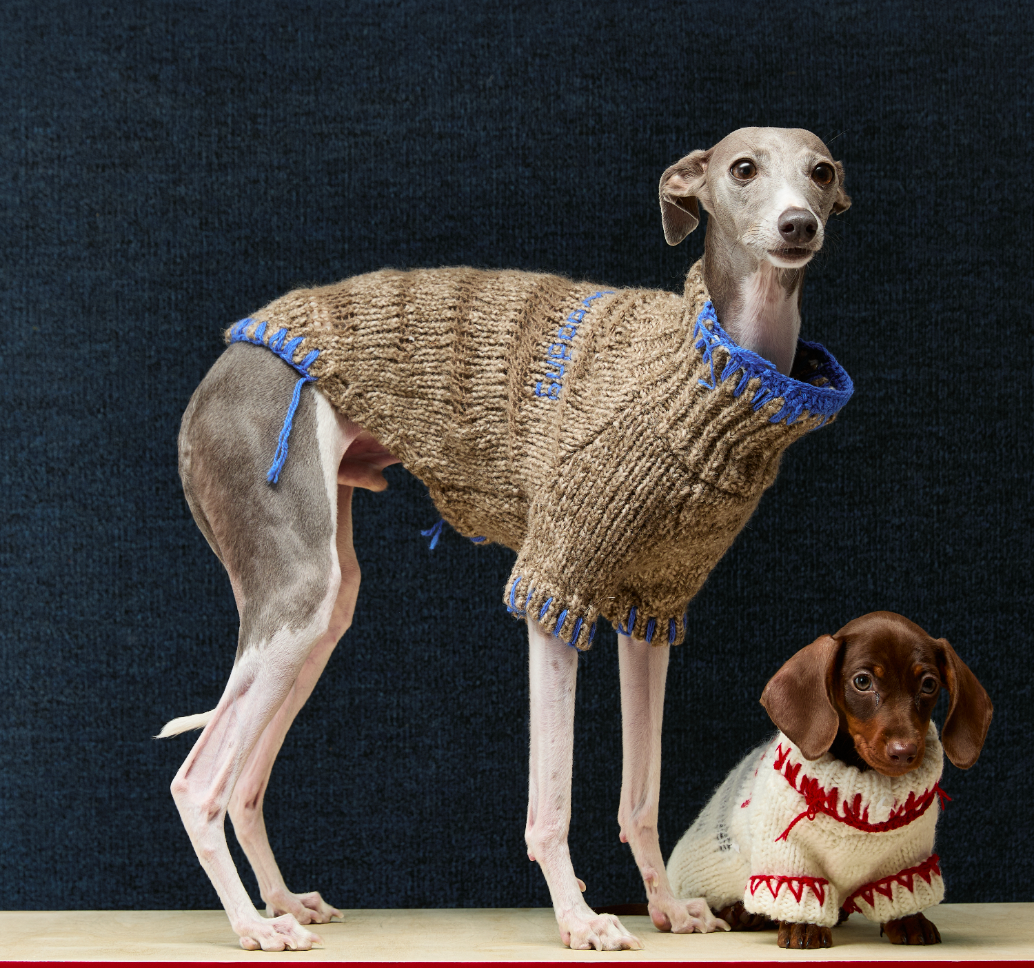 Alpaca Wool Pet Sweater
