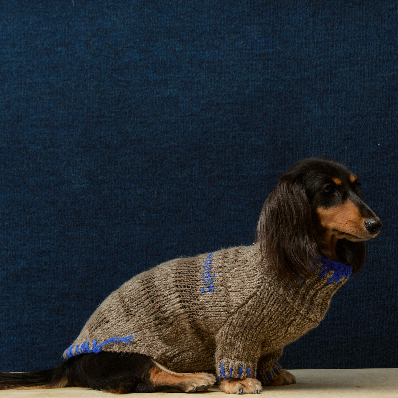 Alpaca Wool Pet Sweater