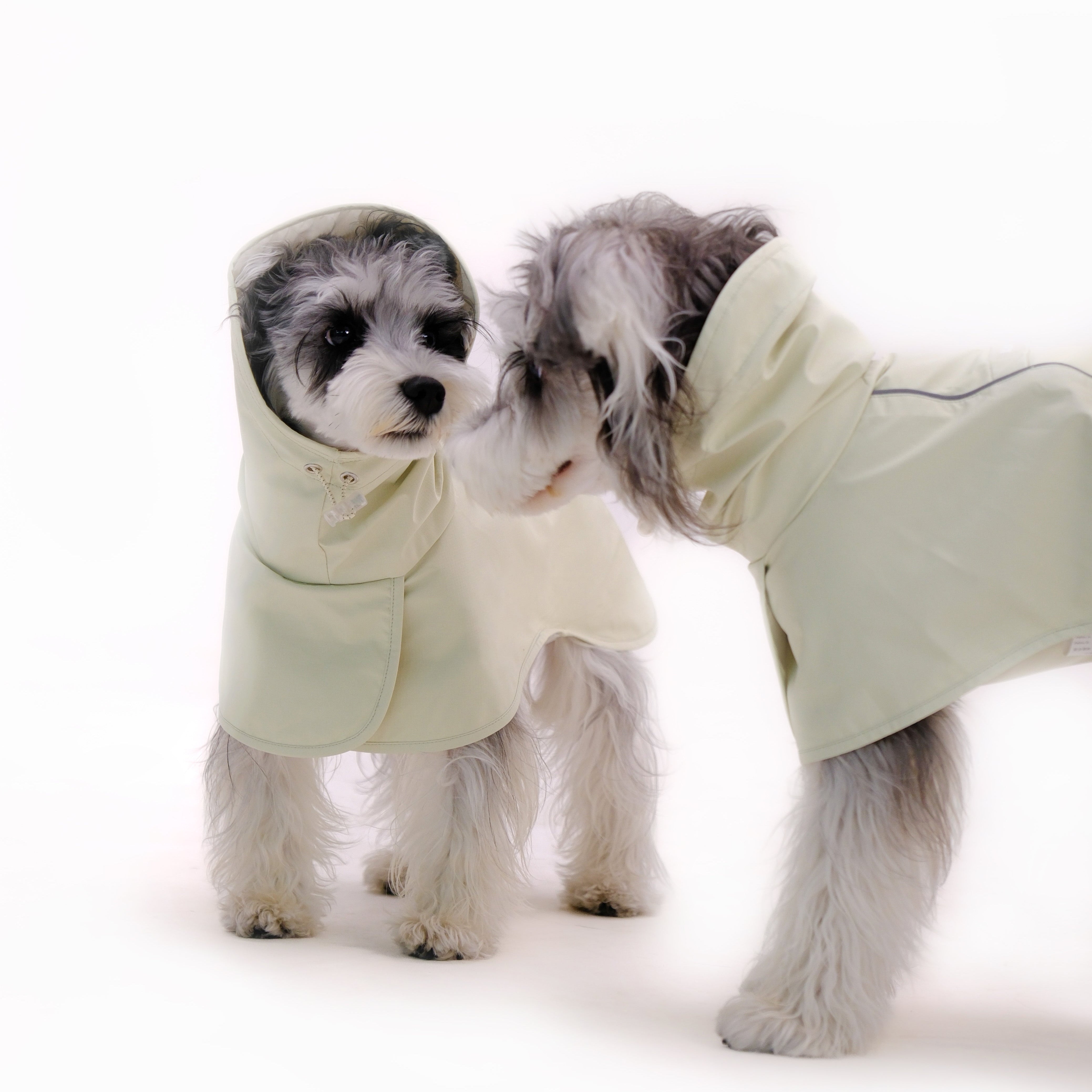Dog Raincoat