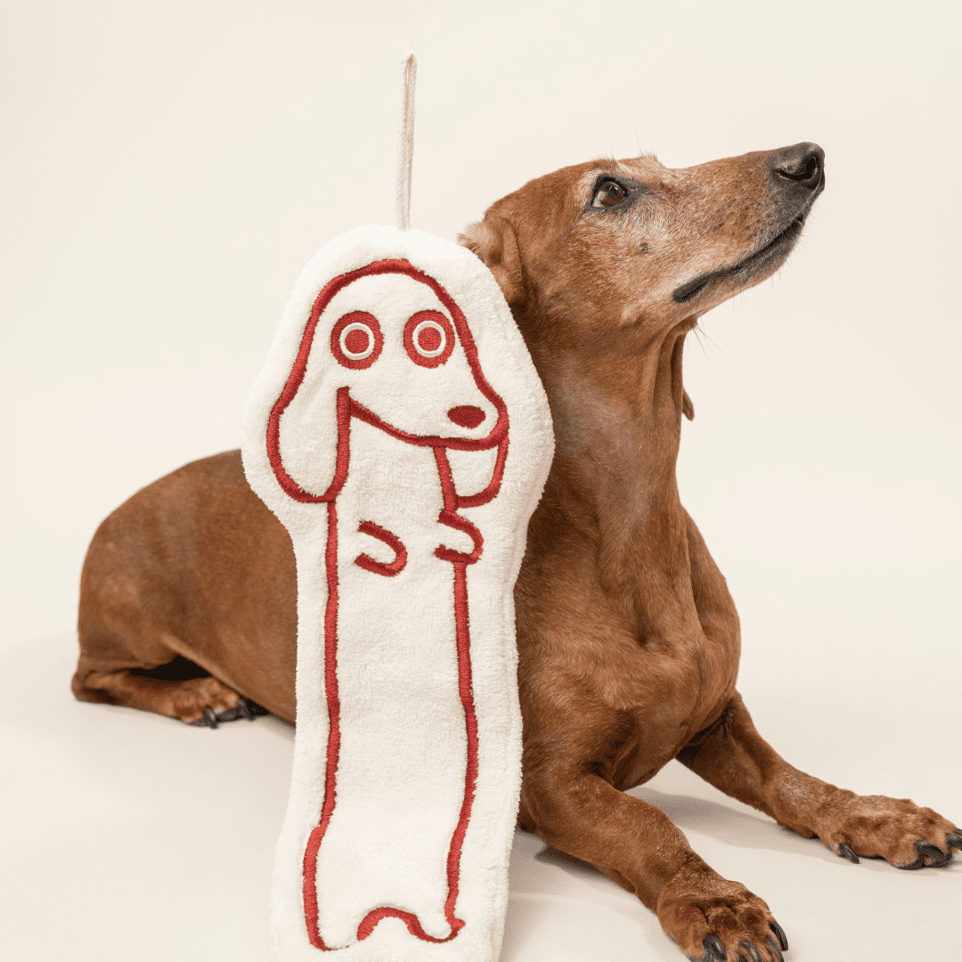 Dachshund Hand Towel