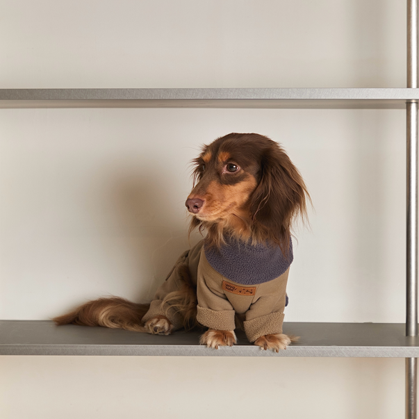 Dachshund Detachable Plush Dog Onesie