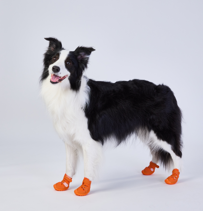 FOKWOW Winter Dog Boots (2 Boots)