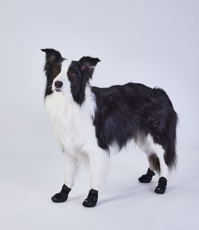 FOKWOW Winter Dog Boots (2 Boots)