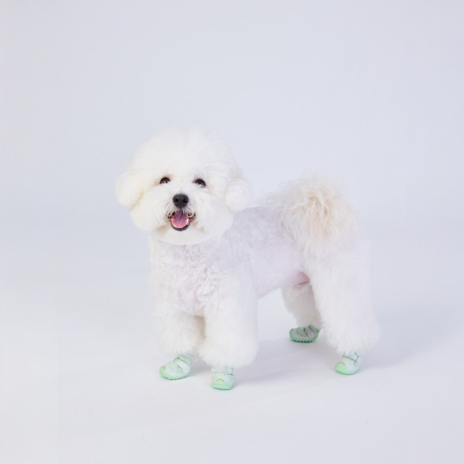 FOKWOW All-Season Dog Boots (2 Boots)