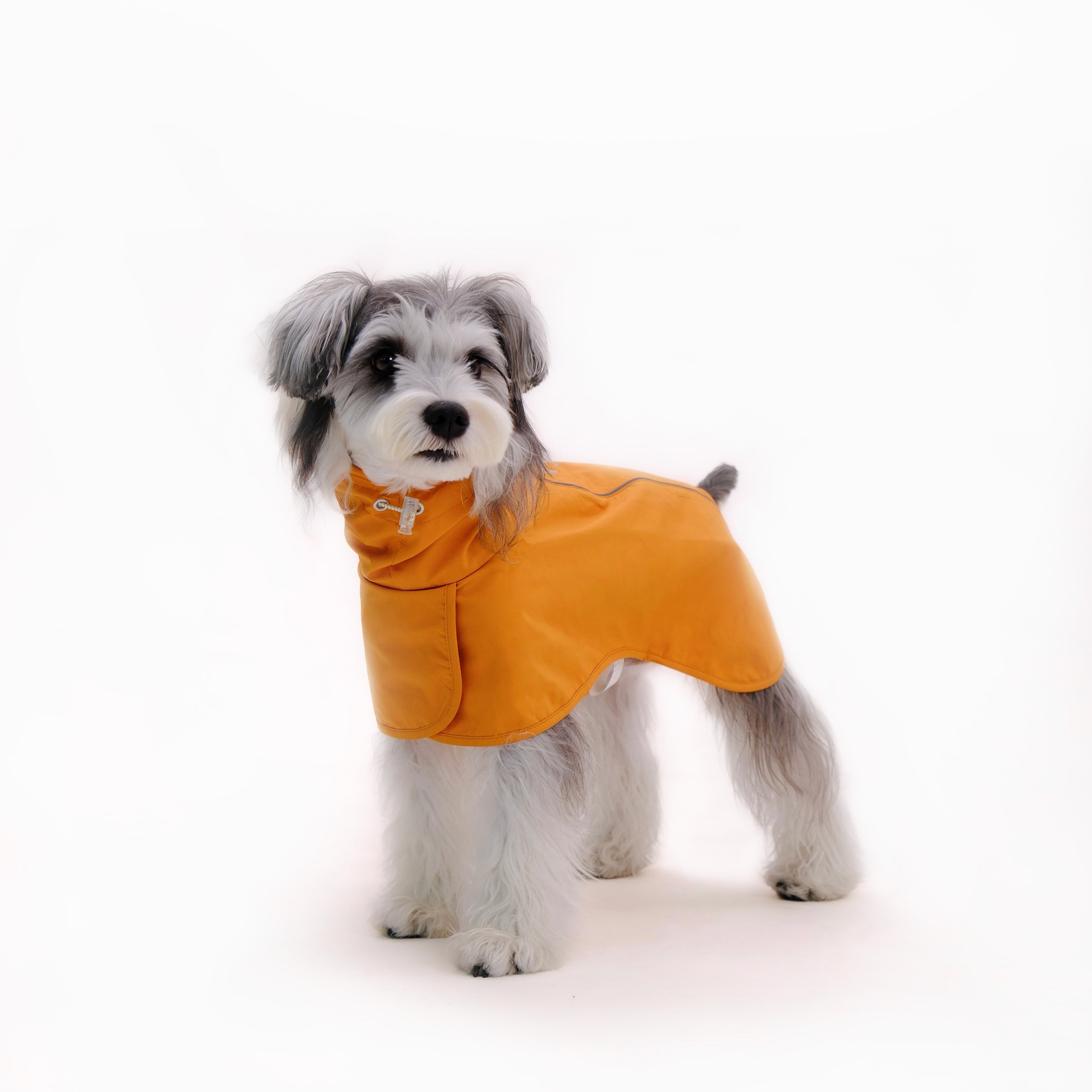 Dog Raincoat