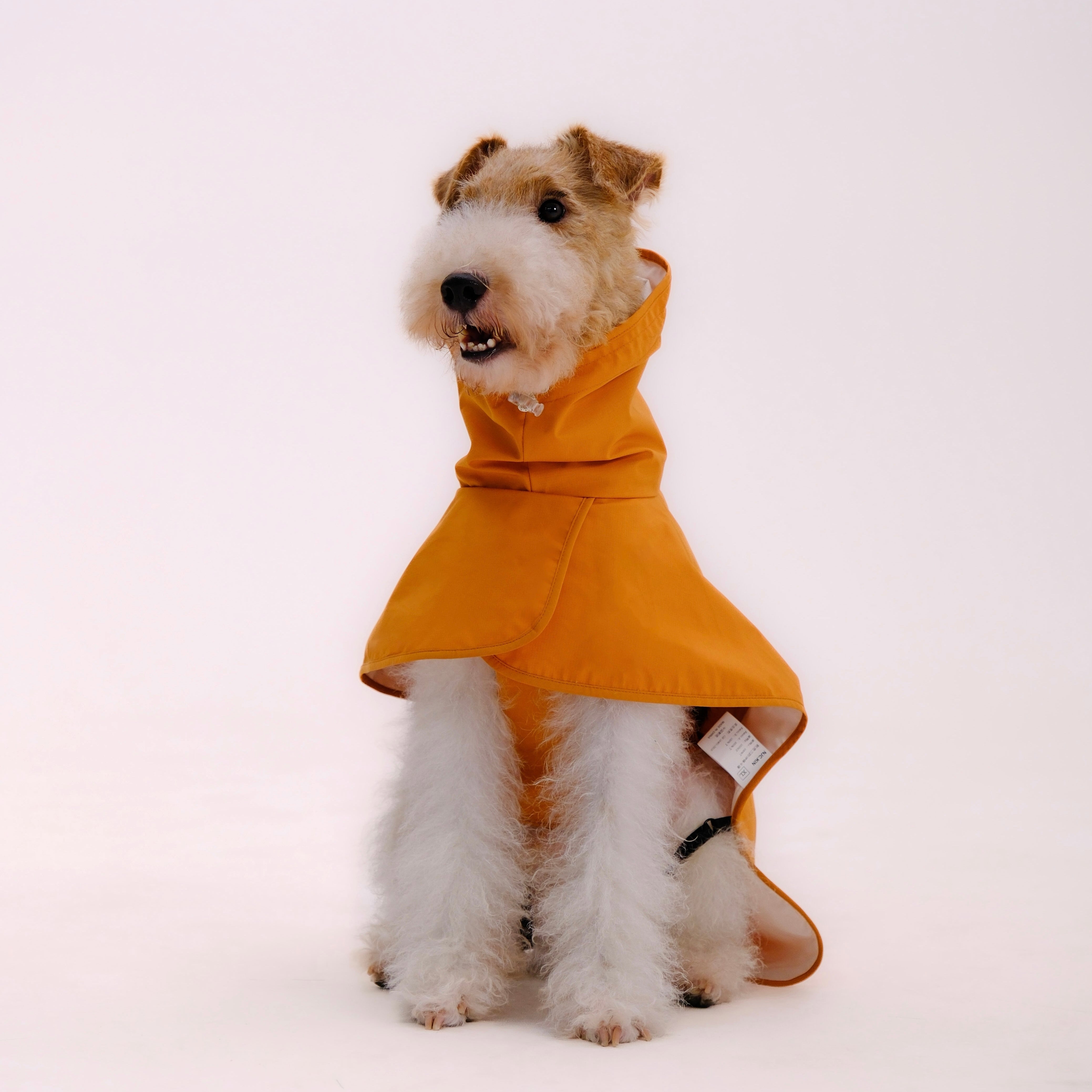 Dog Raincoat