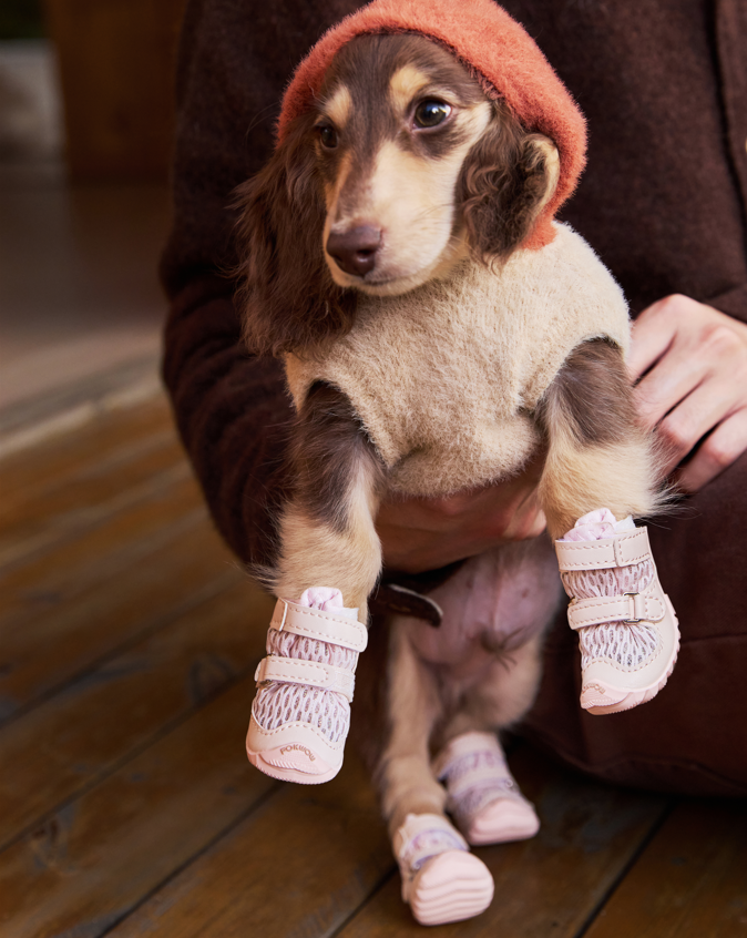 FOKWOW All-Season Dog Boots (2 Boots)