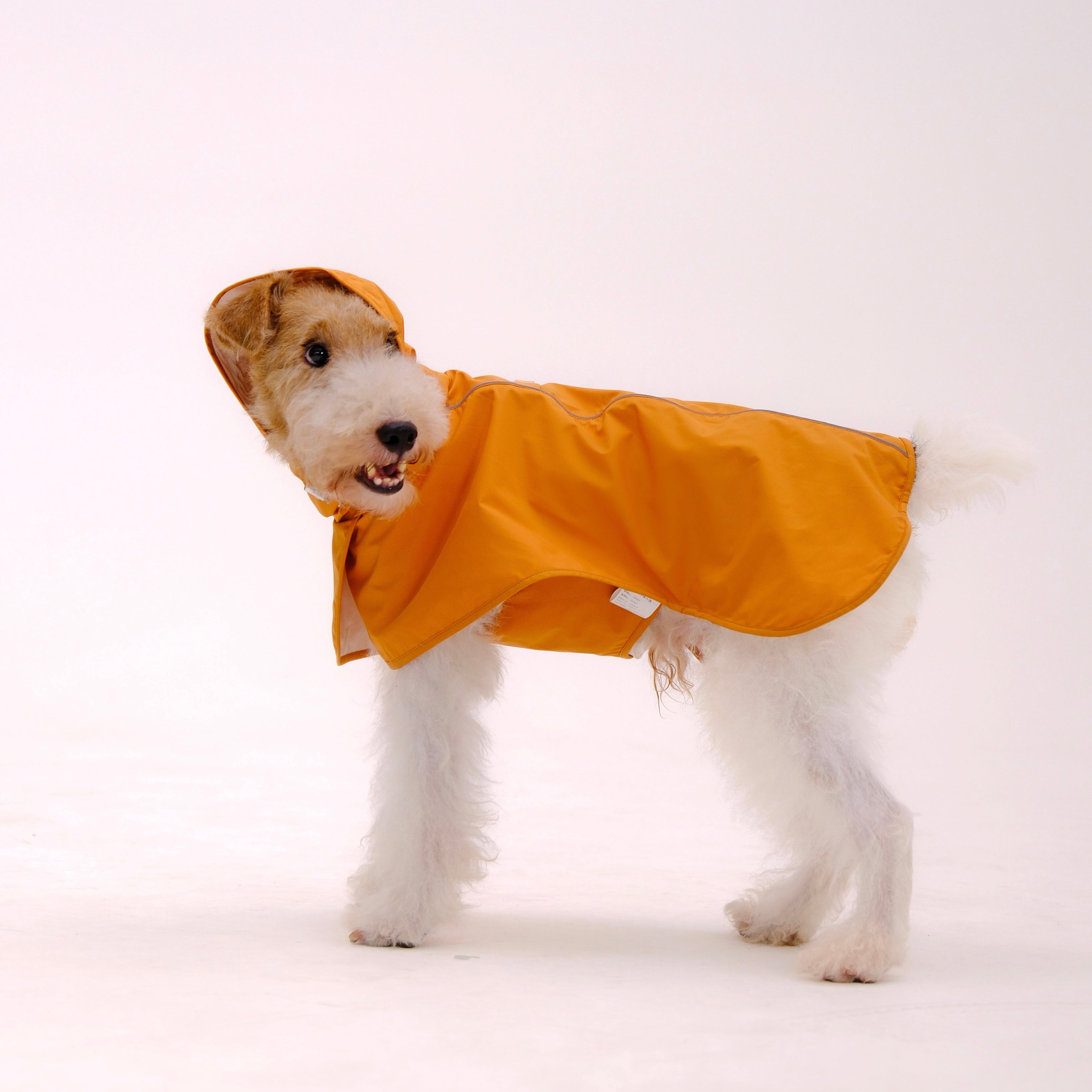 Dog Raincoat