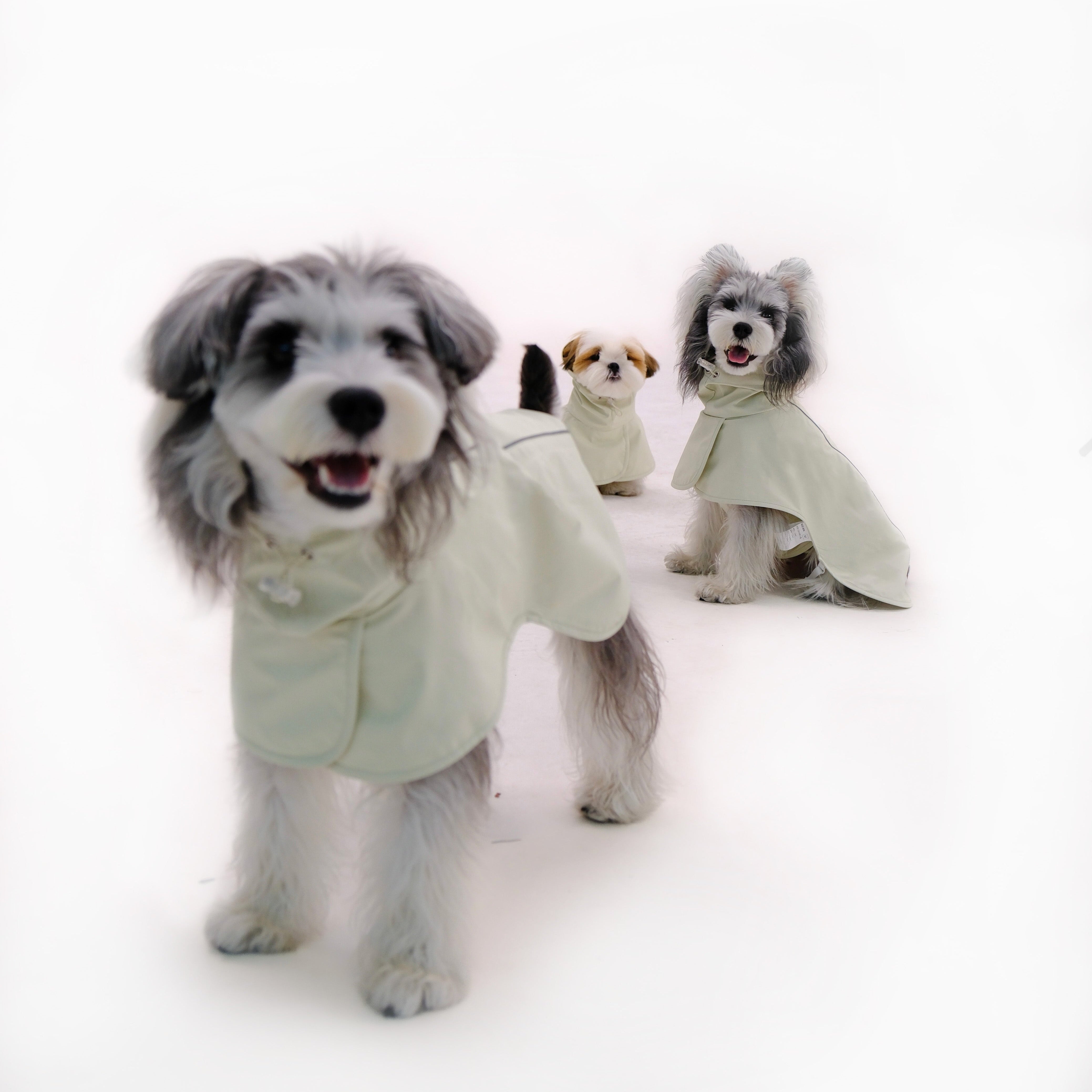 Dog Raincoat