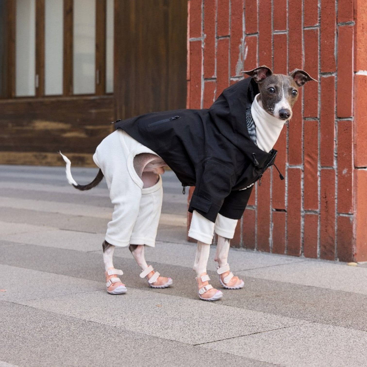 FOKWOW Dog Rain Boots (2 Boots)