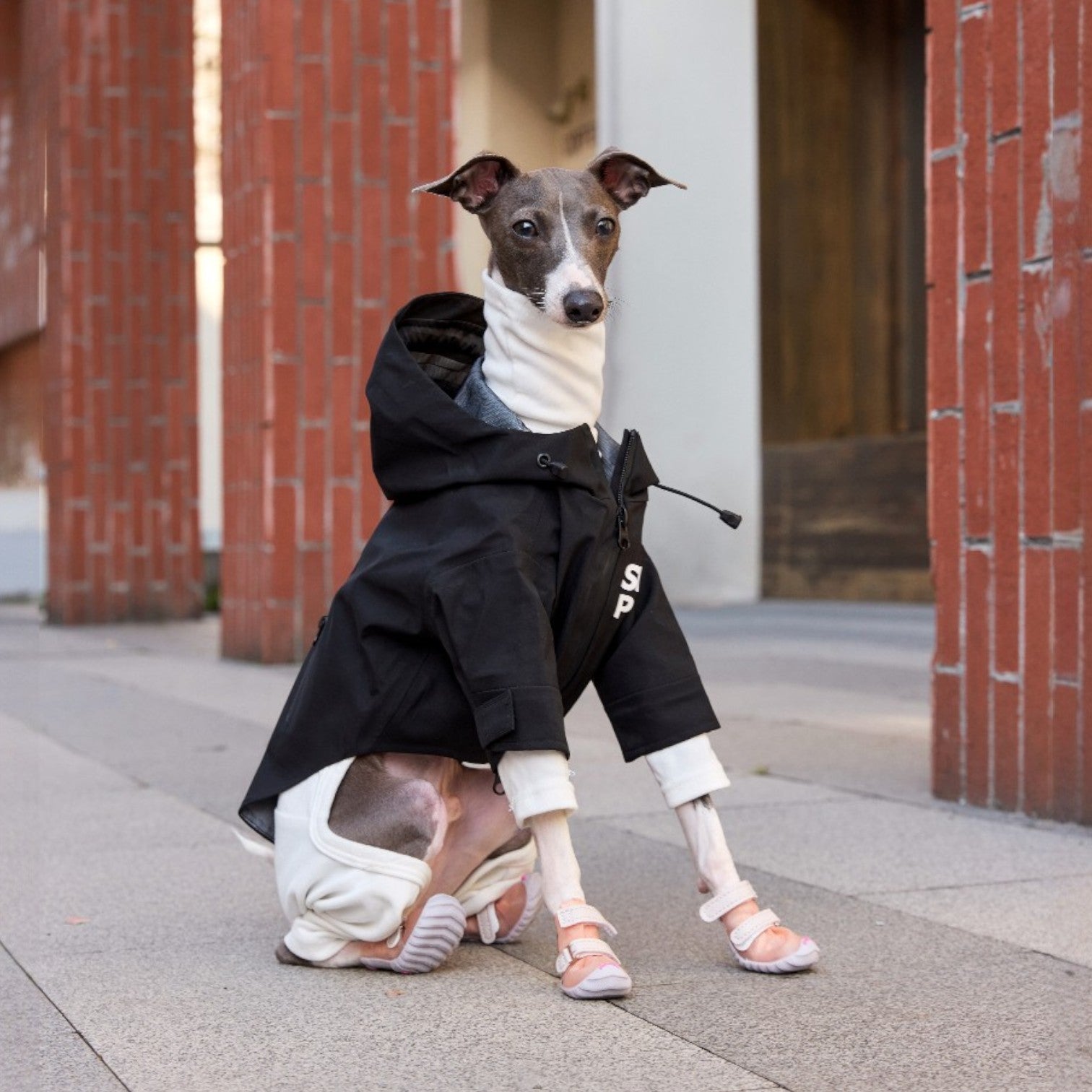 FOKWOW Dog Rain Boots (2 Boots)